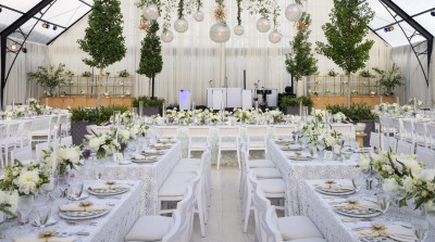 Chester Chairs & Ibiza Collection